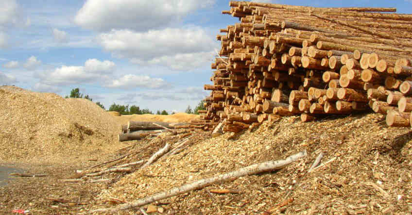 Impianti a biomassa