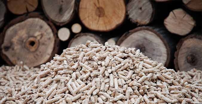 caldaie-a-biomassa